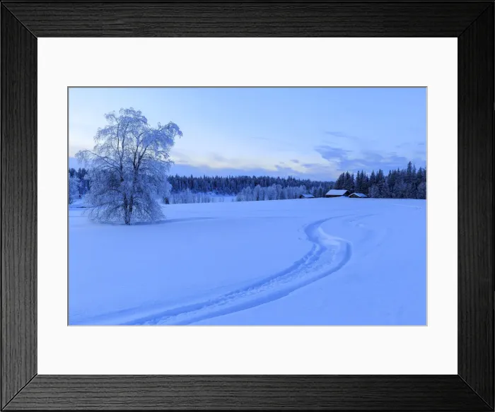 Framed Print : House isolated in the boundless taiga at the border between Sweden and Finland