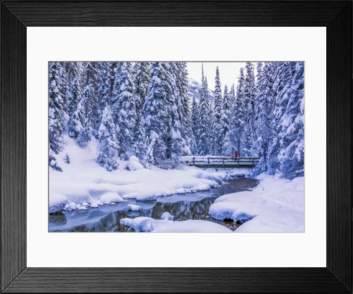 Framed Print : Winter Wonderland, Yoho National Park, British Columbia, Canada Framed Print : Winter Wonderland, Yoho National Park, British Columbia, Canada