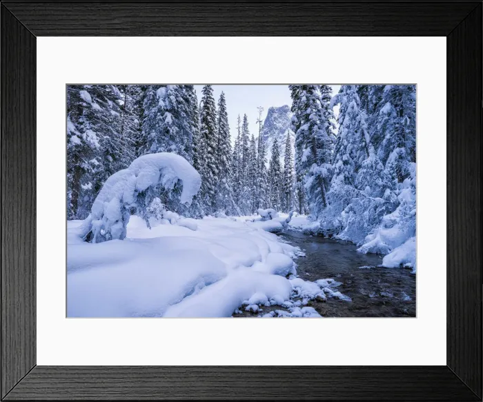 Framed Print : Winter Wonderland along Emerald River, Yoho National Park, British Columbia, Canada Framed Print : Winter Wonderland along Emerald River, Yoho National Park, British Columbia, Canada