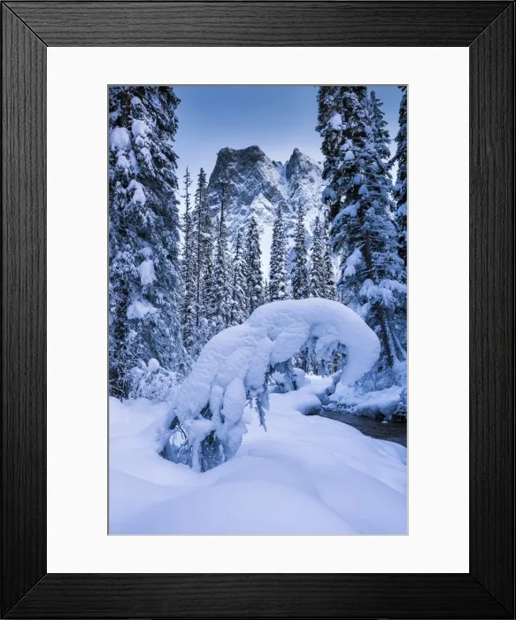 Framed Print : Mt. Burgess in Winter, Yoho National Park, British Columbia, Canada