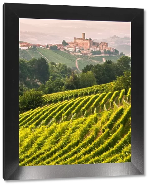 Italy, Piedmont, Cuneo district, Langhe, Castiglione Falletto, the vineyards and the