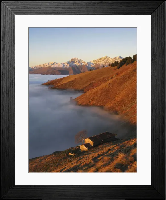 Framed Print : Mountain pasture over the clouds at sunrise (Bielmonte, Veglio, Biella province, Piedmont Framed Print : Mountain pasture over the clouds at sunrise (Bielmonte, Veglio, Biella province, Piedmont