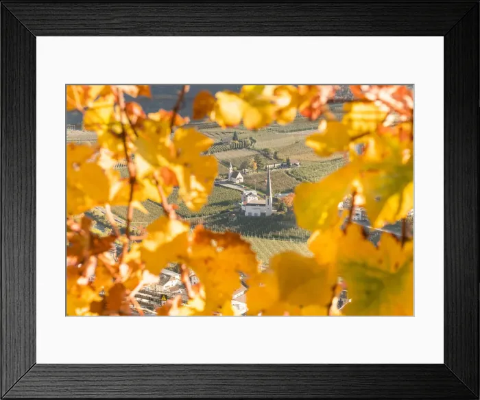 Framed Print : A panoramic view of Laces church from vineyards Framed Print : A panoramic view of Laces church from vineyards