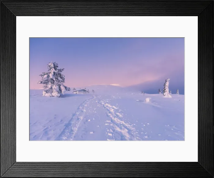Framed Print : Frozen tree and log cabin at Pallas-Yllastunturi National Park, Muonio, Lapland, Finland Framed Print : Frozen tree and log cabin at Pallas-Yllastunturi National Park, Muonio, Lapland, Finland