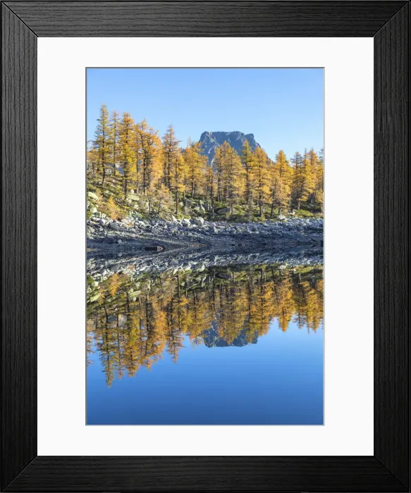 Framed Print : The Crampiolo Peak is reflected in the Nero Lake in autumn (Buscagna Valley, Alpe Devero Framed Print : The Crampiolo Peak is reflected in the Nero Lake in autumn (Buscagna Valley, Alpe Devero