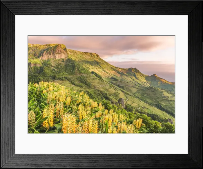 Framed Print : Portugal, Azores archipelago, Flores island, Faja Grande Framed Print : Portugal, Azores archipelago, Flores island, Faja Grande