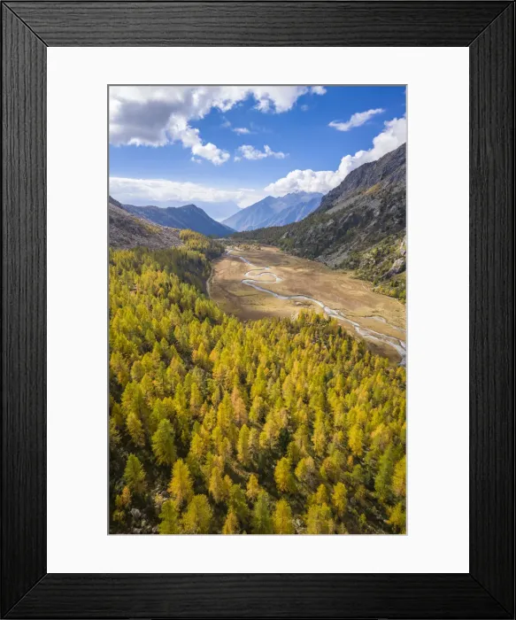 Framed Print : Aerial view of the winding Duino river and the larches in autumn in Preda Rossa valley Framed Print : Aerial view of the winding Duino river and the larches in autumn in Preda Rossa valley