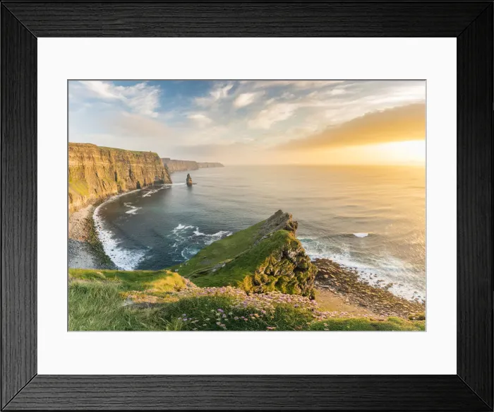 Framed Print : Cliffs of Moher at sunset, with flowers on the foreground Framed Print : Cliffs of Moher at sunset, with flowers on the foreground