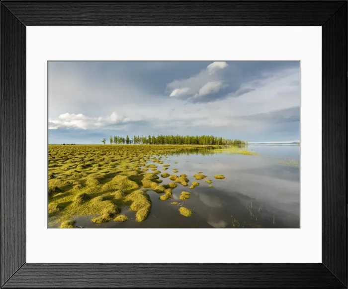 Framed Print : Golden light at Hovsgol Lake. Hovsgol province, Mongolia