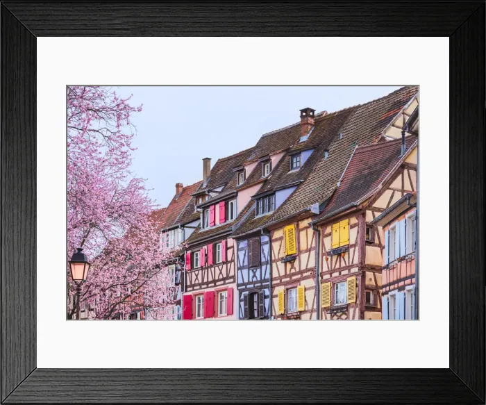 Framed Print : Colorful half timbered houses, Colmar, France Framed Print : Colorful half timbered houses, Colmar, France