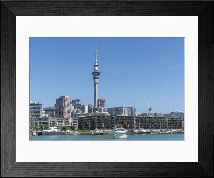 Framed Print : Boats in Viaduct Basin and Auckland Central Business District in the background. Auckland City, Auckland region