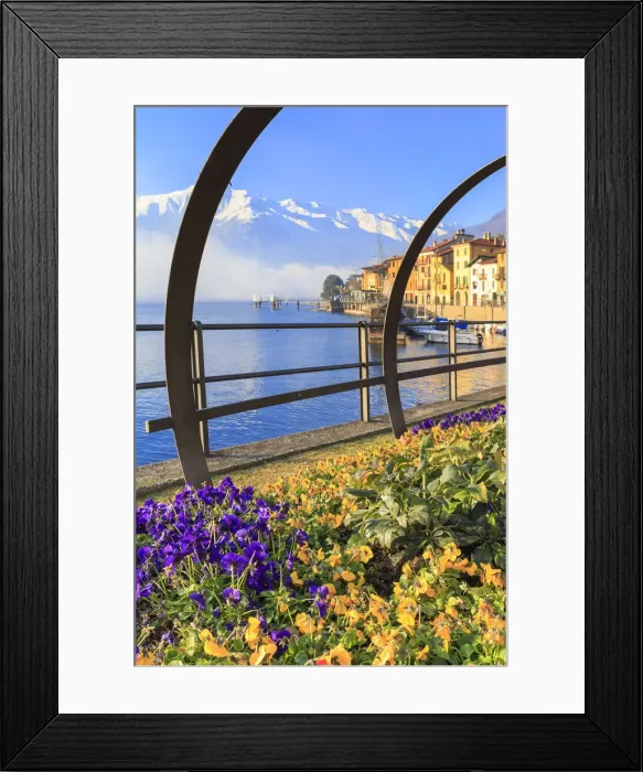 Framed Print : Colored flowers in bloom on a traditional Como Lake boat(Lucia). Domaso, Como Lake Framed Print : Colored flowers in bloom on a traditional Como Lake boat(Lucia). Domaso, Como Lake