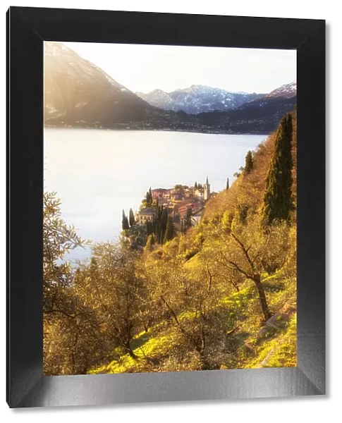 Village of Varenna from olive field, Como Lake, Lombardy, Italy