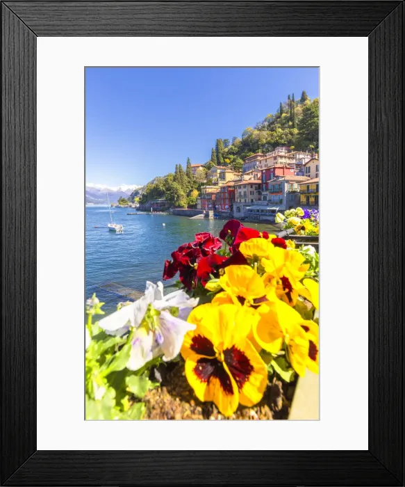 Framed Print : Colourful flowering on the lake. Varenna, Province of Lecco, Como Lake, Lombardy, Italy