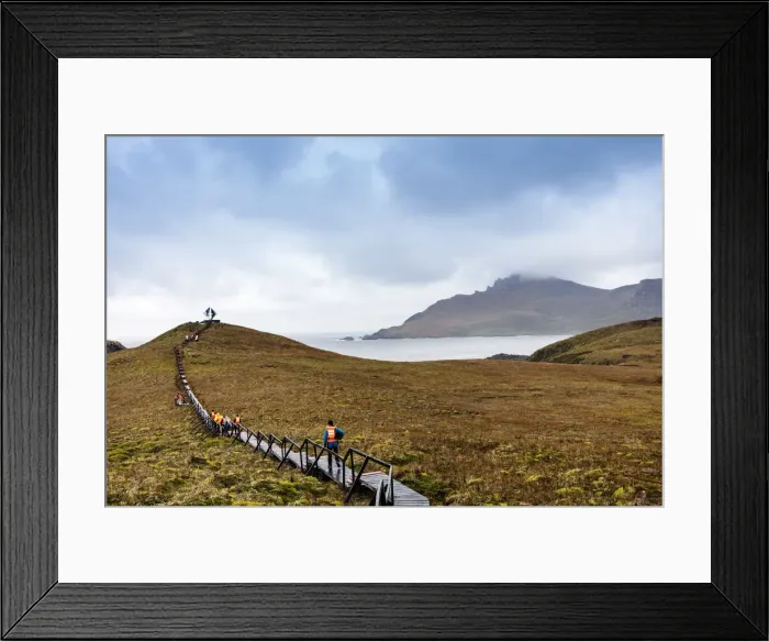 Framed Print : South America, Chile, Patagonia, Tierra del Fuego, Cape Horn, Cape Horn National Park