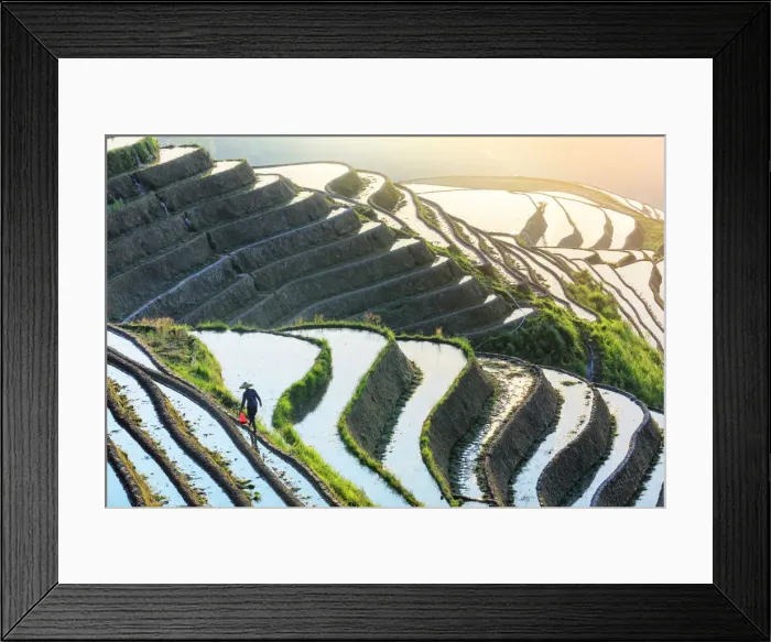 Framed Print : China, Guangxi Province, Longsheng, Long Ji rice terrace filled with water in Framed Print : China, Guangxi Province, Longsheng, Long Ji rice terrace filled with water in
