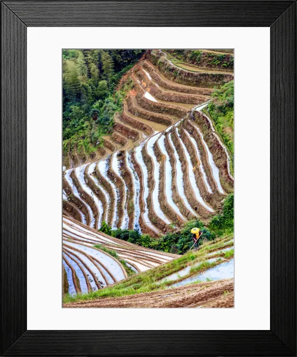 Framed Print : China, Guangxi Province, Longsheng, Long Ji rice terrace filled with water in Framed Print : China, Guangxi Province, Longsheng, Long Ji rice terrace filled with water in