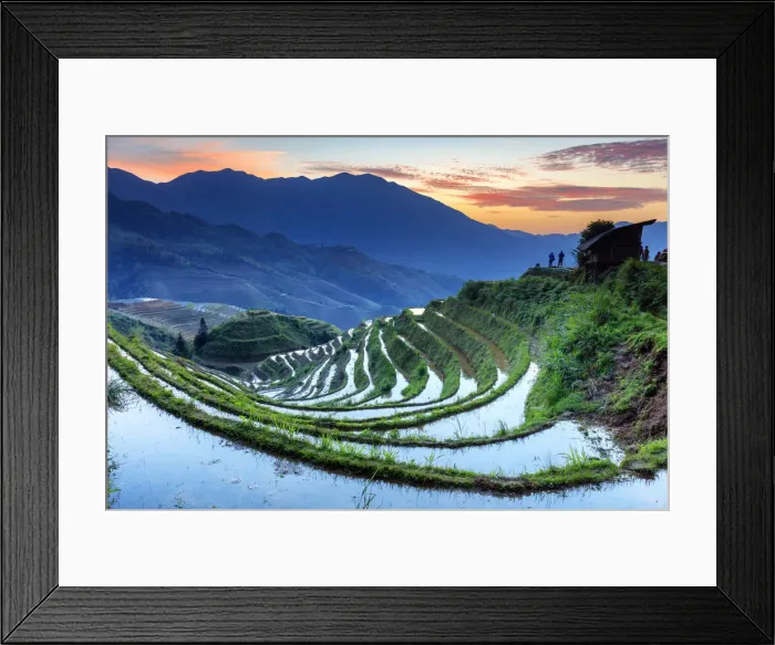 Framed Print : China, Guangxi Province, Longsheng, Long Ji rice terrace filled with water in Framed Print : China, Guangxi Province, Longsheng, Long Ji rice terrace filled with water in