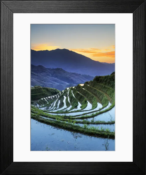 Framed Print : China, Guangxi Province, Longsheng, Long Ji rice terrace filled with water in Framed Print : China, Guangxi Province, Longsheng, Long Ji rice terrace filled with water in