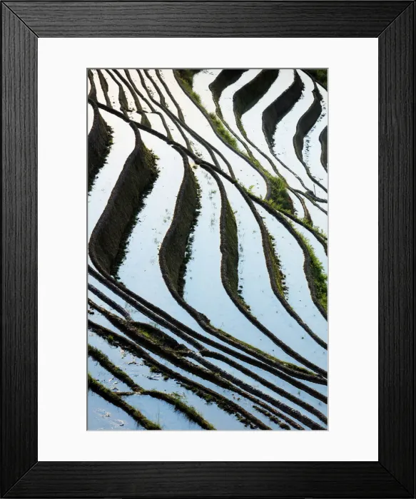 Framed Print : China, Guangxi Province, Longsheng, Long Ji rice terrace filled with water in Framed Print : China, Guangxi Province, Longsheng, Long Ji rice terrace filled with water in