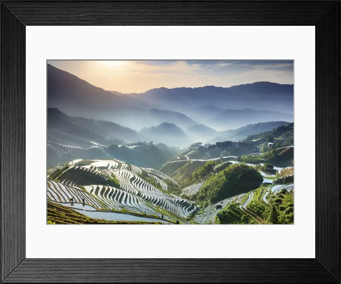 Framed Print : China, Guangxi Province, Longsheng, Long Ji rice terrace filled with water in Framed Print : China, Guangxi Province, Longsheng, Long Ji rice terrace filled with water in
