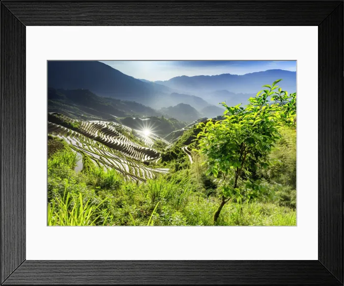 Framed Print : China, Guangxi Province, Longsheng, Long Ji rice terrace filled with water in Framed Print : China, Guangxi Province, Longsheng, Long Ji rice terrace filled with water in