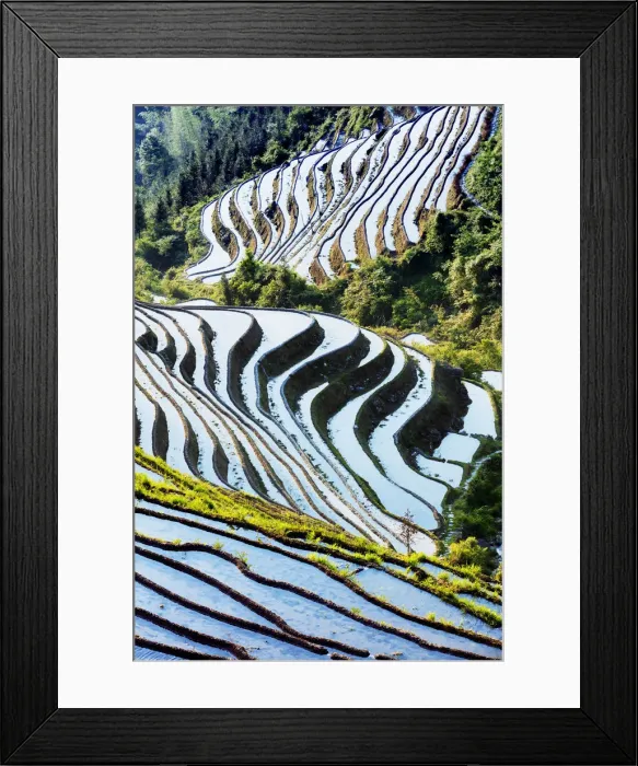 Framed Print : China, Guangxi Province, Longsheng, Long Ji rice terrace filled with water in Framed Print : China, Guangxi Province, Longsheng, Long Ji rice terrace filled with water in