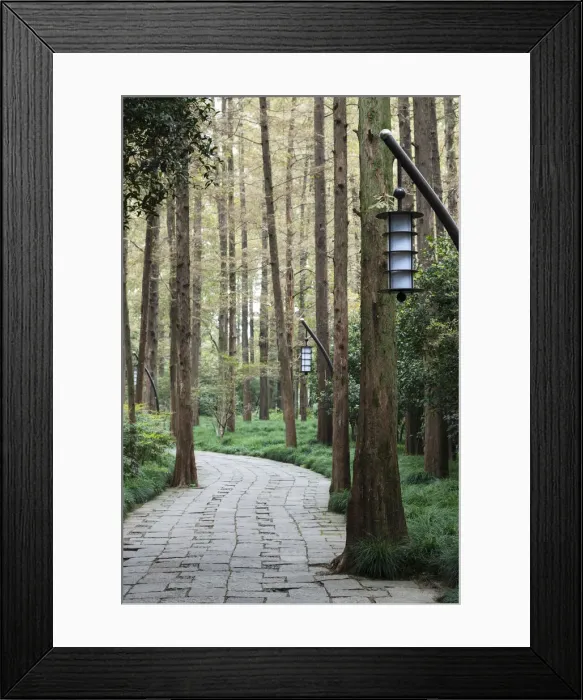 Framed Print : Asia, China, Hangzhou, West Lake Framed Print : Asia, China, Hangzhou, West Lake