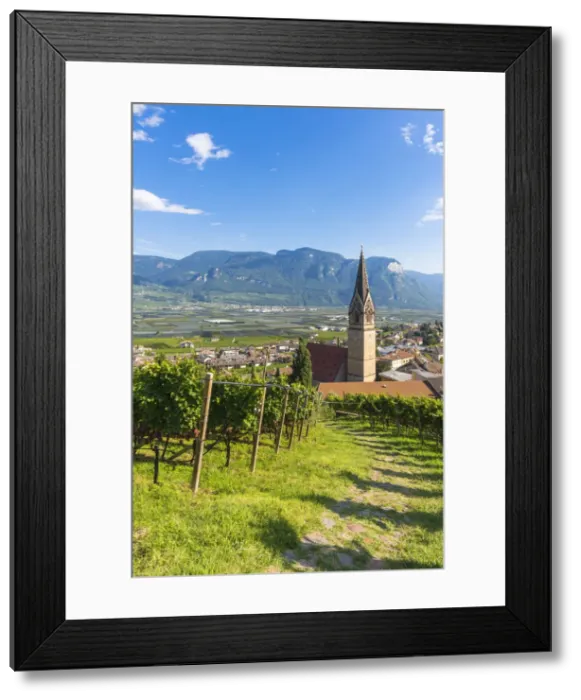 Framed Print : Termeno, Bolzano province, Trentino Alto Adige, Italy Views of the vineyards Framed Print : Termeno, Bolzano province, Trentino Alto Adige, Italy Views of the vineyards