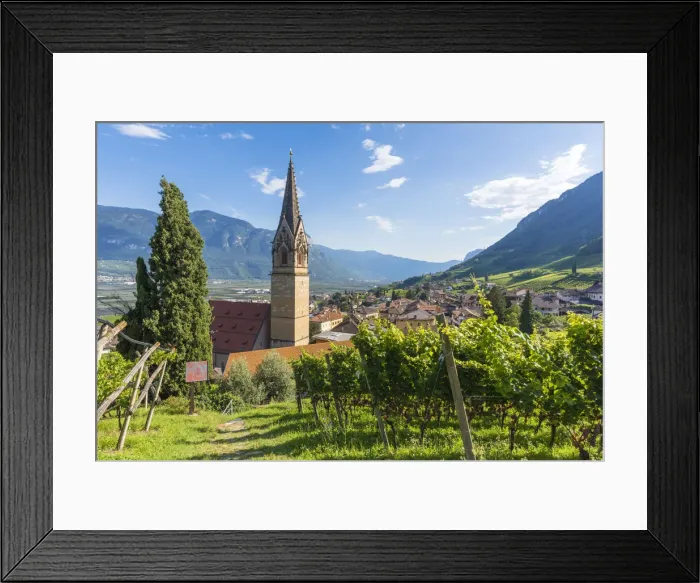 Framed Print : Termeno, Bolzano province, Trentino Alto Adige, Italy Views of the vineyards Framed Print : Termeno, Bolzano province, Trentino Alto Adige, Italy Views of the vineyards