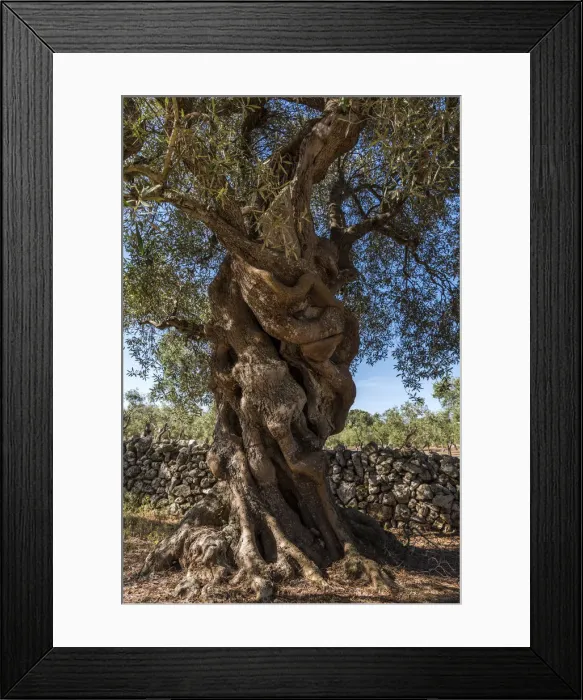 Framed Print : Otranto, province of Lecce, Salento, Apulia, Italy Framed Print : Otranto, province of Lecce, Salento, Apulia, Italy