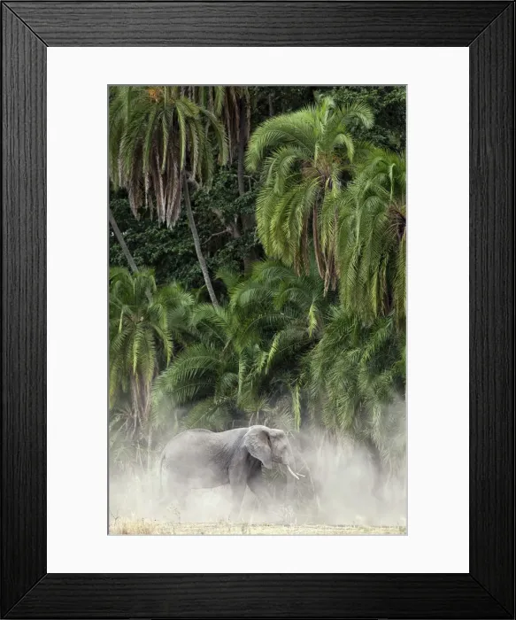 Framed Print : African elephant in the dust with palms in the background, in Serengeti National Park Framed Print : African elephant in the dust with palms in the background, in Serengeti National Park