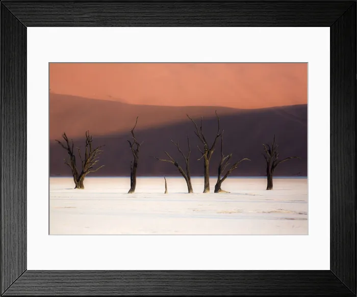 Framed Print : The dead trees in the Deadvlei at sunset, Namibia Framed Print : The dead trees in the Deadvlei at sunset, Namibia