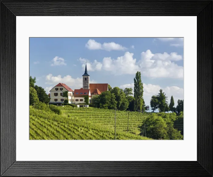 Framed Print : Europe, Slovenia. Vineyard below the hilltop church of Jeruzalem near Ljutomer Framed Print : Europe, Slovenia. Vineyard below the hilltop church of Jeruzalem near Ljutomer