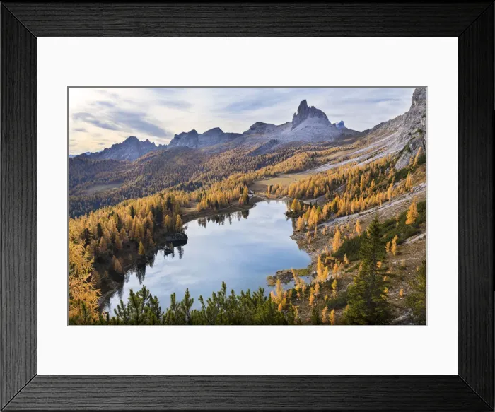 Framed Print : a yellow larch forest at Federa lake in autumn with Becco di Mezzoda on the background