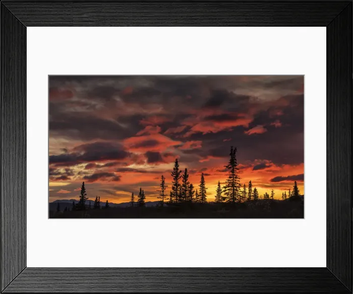Framed Print : Denali National Park, Alaska, United States of America Framed Print : Denali National Park, Alaska, United States of America