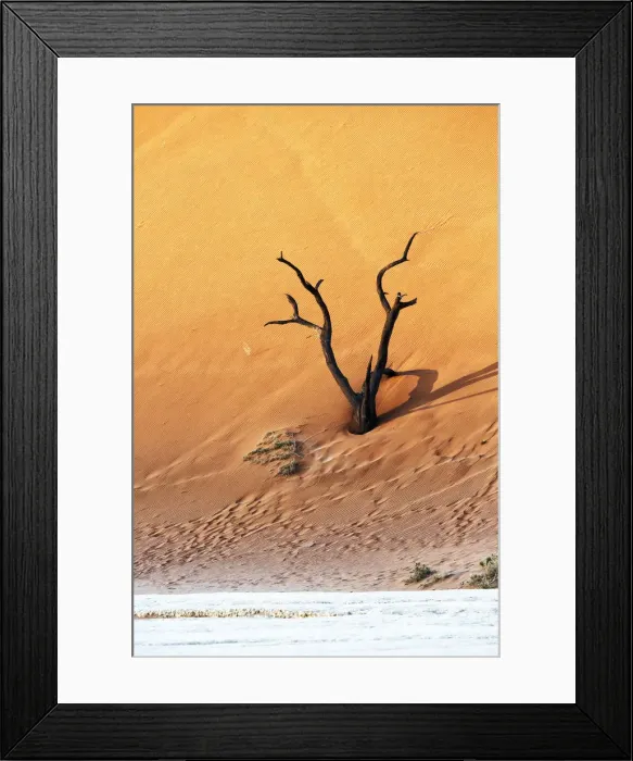 Framed Print : Deadvlei, Sosusvlei, Namibia, Africa Framed Print : Deadvlei, Sosusvlei, Namibia, Africa