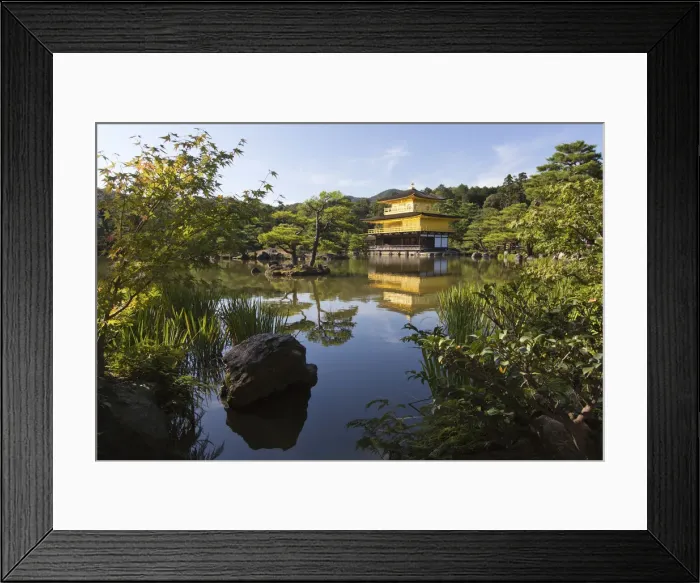 Framed Print : Kinkaku-Ji temple, the golden pavilion, in Kyoto, Japan Framed Print : Kinkaku-Ji temple, the golden pavilion, in Kyoto, Japan