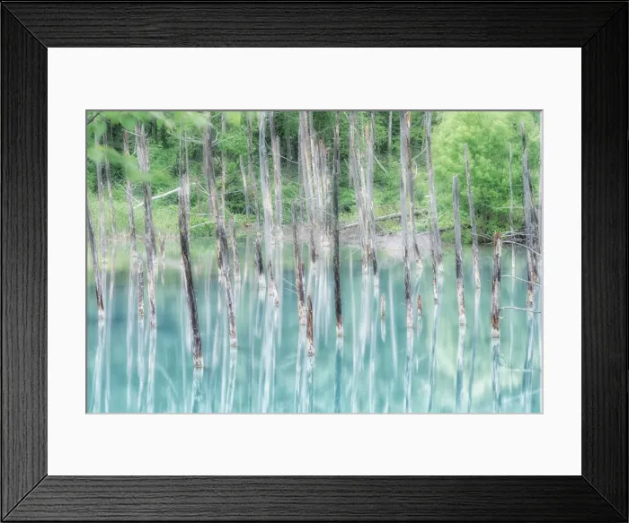 Framed Print : Biei blue pond, Biei, Hokkaido, Japan Framed Print : Biei blue pond, Biei, Hokkaido, Japan
