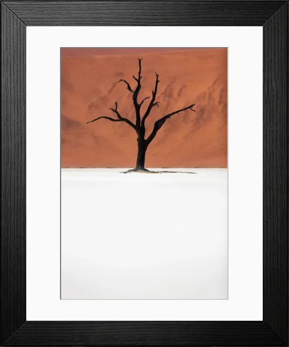 Framed Print : A dead acacia tree the Deadvlei valley, Namib desert, Namibia Framed Print : A dead acacia tree the Deadvlei valley, Namib desert, Namibia