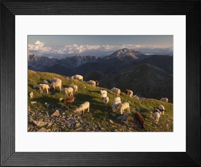 Framed Print : Sant Antonio valley, Lombardy, Italy Framed Print : Sant Antonio valley, Lombardy, Italy
