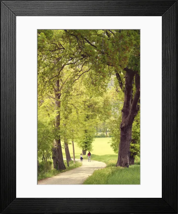 Framed Print : Children walking and cycling along the paths of campaigns Spello, Perugia district Framed Print : Children walking and cycling along the paths of campaigns Spello, Perugia district