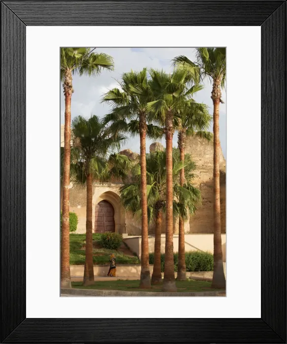 Framed Print : North Africa, Morocco, Meknes district. Granary of Meknes Framed Print : North Africa, Morocco, Meknes district. Granary of Meknes