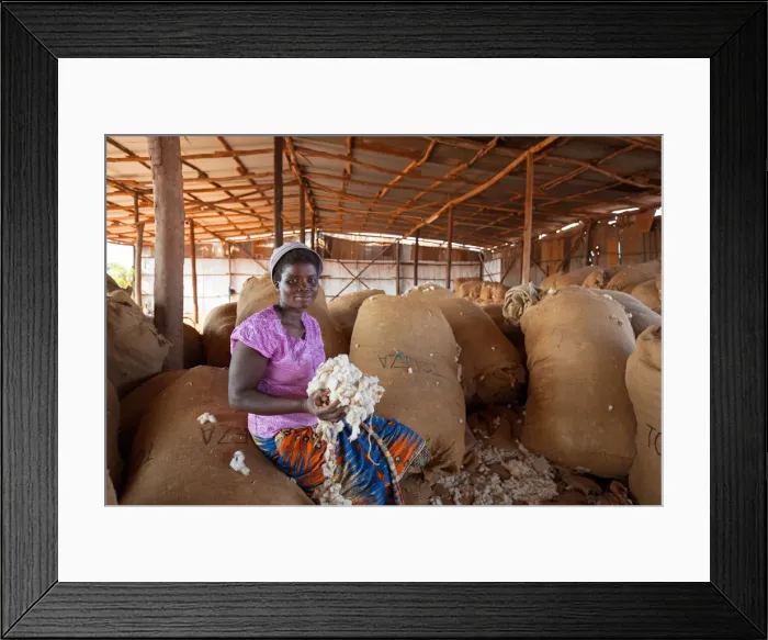 Framed Print : Africa, Malawi, Balaka district. Cotton processing Framed Print : Africa, Malawi, Balaka district. Cotton processing