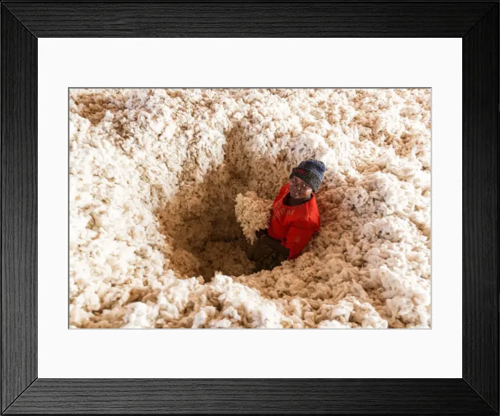 Framed Print : Africa, Malawi, Balaka district. Cotton processing Framed Print : Africa, Malawi, Balaka district. Cotton processing