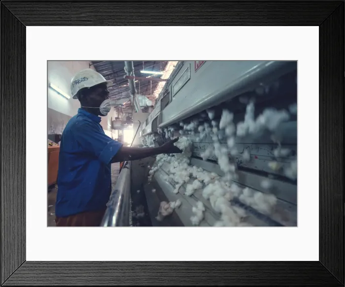 Framed Print : Africa, Malawi, Balaka district. Cotton processing Framed Print : Africa, Malawi, Balaka district. Cotton processing