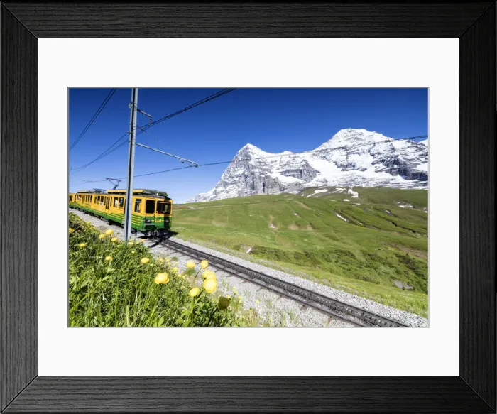 Framed Print : The Wengernalpbahn rack railway runs across meadows and snowy peaks Wengen Bernese Framed Print : The Wengernalpbahn rack railway runs across meadows and snowy peaks Wengen Bernese