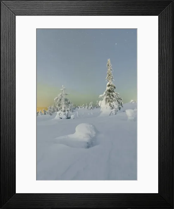 Framed Print : Frozen trees in snowy woods framed by starry sky in the cold polar night Ruka Kuusamo Framed Print : Frozen trees in snowy woods framed by starry sky in the cold polar night Ruka Kuusamo