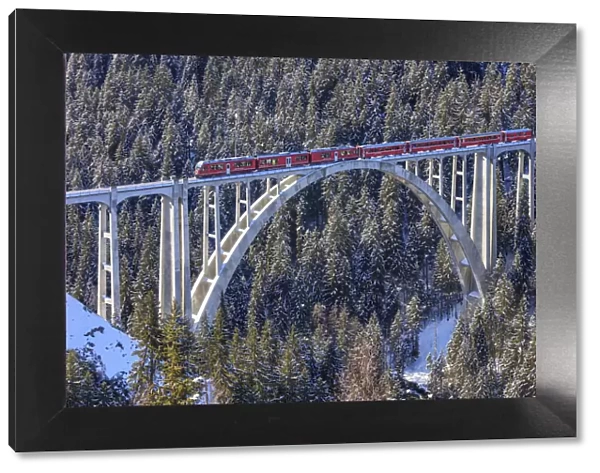 Red train of Rhaetian Railway on Langwies Viaduct surrounded by snowy woods Canton