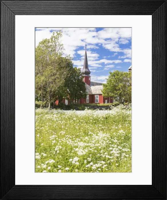Framed Print : Field of blooming flowers frame the typical wooden church Flakstad Lofoten Islands Framed Print : Field of blooming flowers frame the typical wooden church Flakstad Lofoten Islands